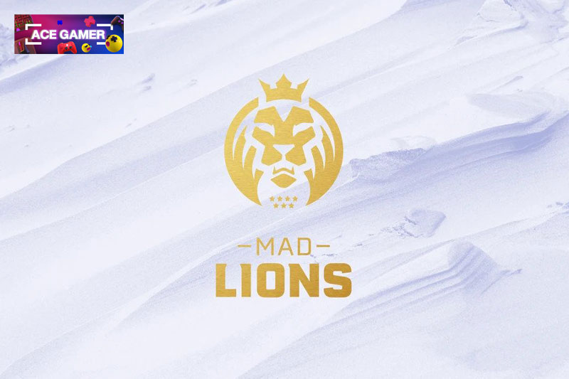 ทีม MAD Lions